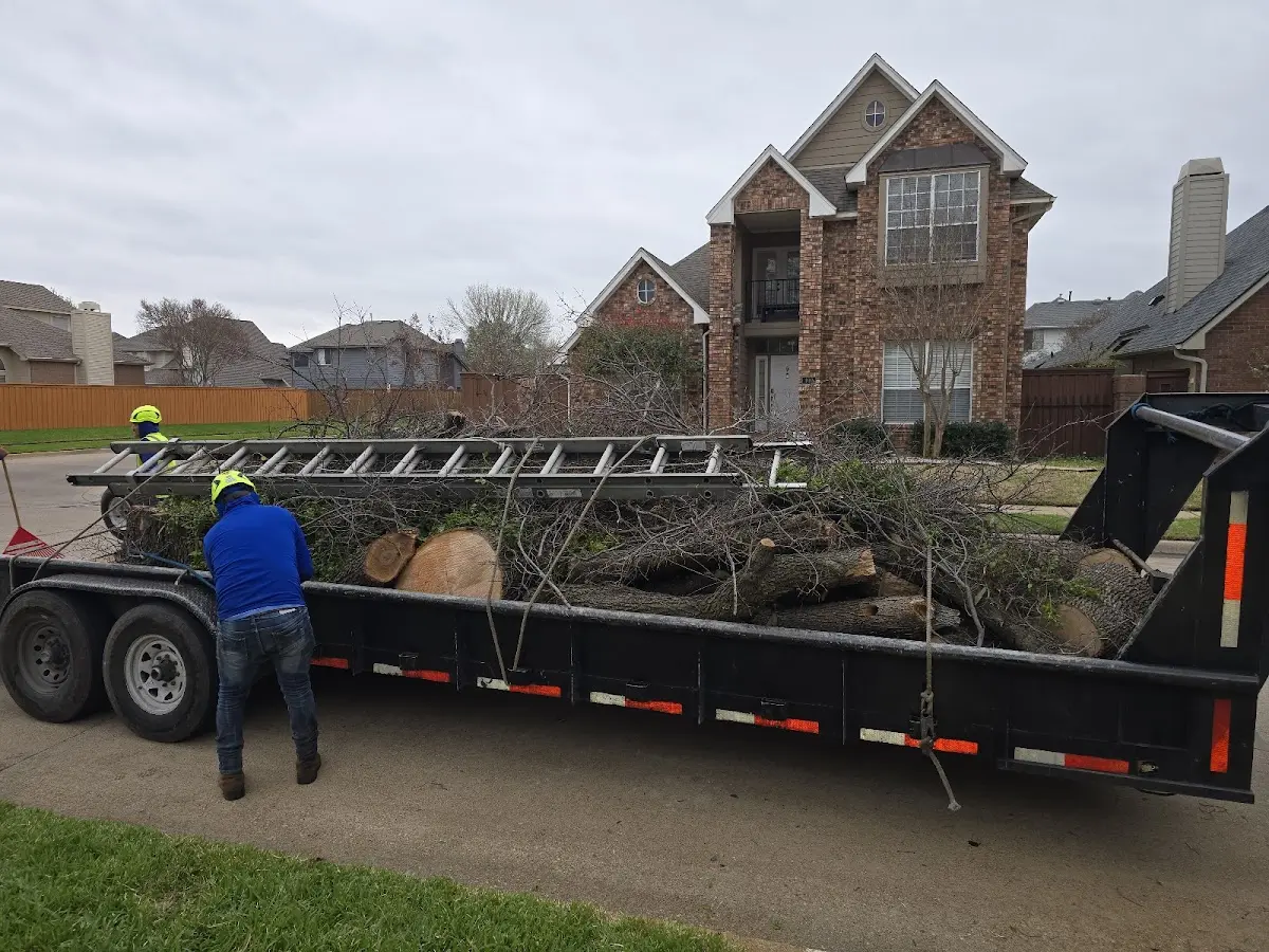 Expert Tree Fertilization with proper safety equipment in Douglassville